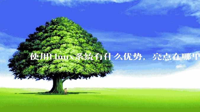 使用Linux系统有什么优势，亮点在哪里？