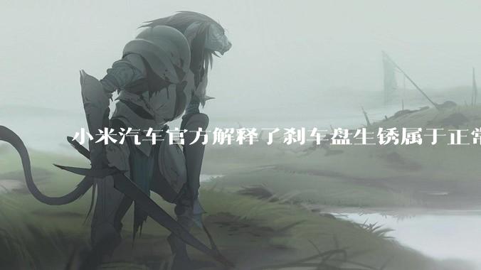 小米汽车官方解释了刹车盘生锈属于正常现象，并提供了两种除锈功能，这些措施是否足够有效？