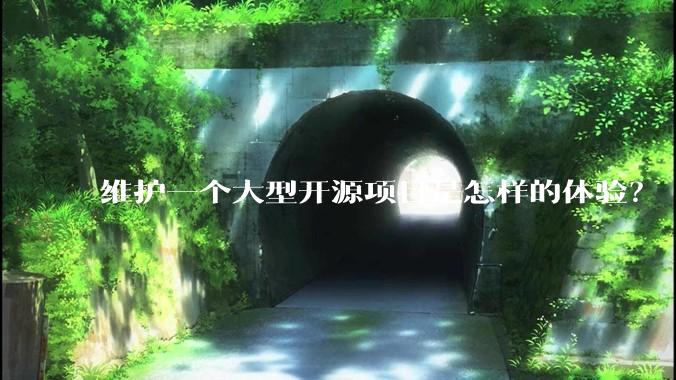 维护一个大型开源项目是怎样的体验？